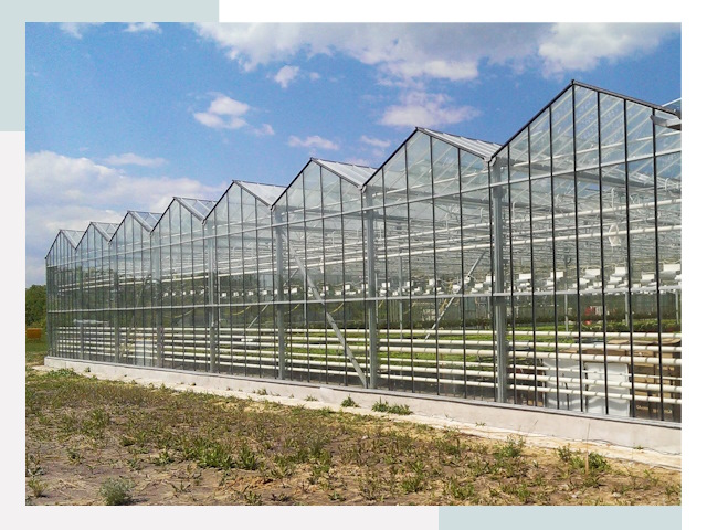 Строительство теплиц в Кыштым от 623 руб. за м²