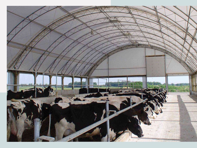 Тентовые коровники в Кыштыме